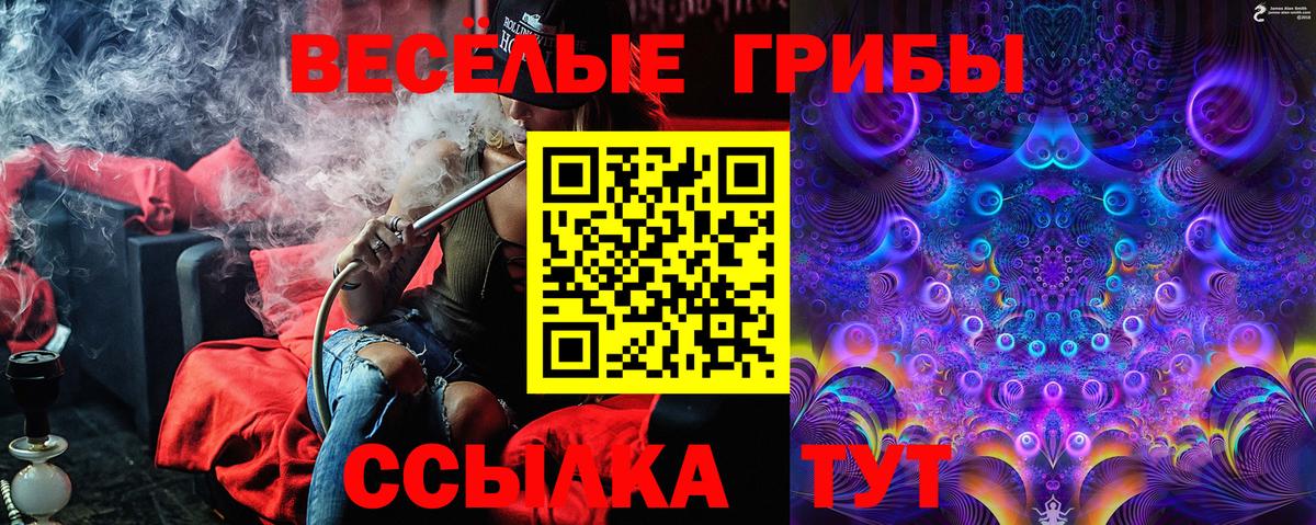 Псилоцибиновые грибы MAGIC MUSHROOMS Клинцы