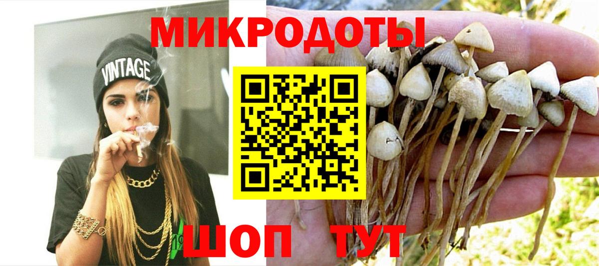 Галлюциногенные грибы Cubensis  купить   Клинцы  Вход с VPN 